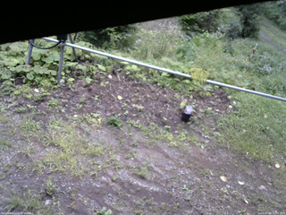 長野県菅平高原 ゆたか山荘 駐車場 2026/08/28 10:45