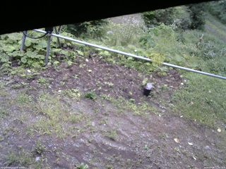 長野県菅平高原 ゆたか山荘 駐車場 2026/08/28 12:30