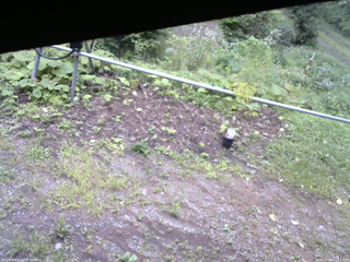長野県菅平高原 ゆたか山荘 駐車場 2026/08/28 14:15