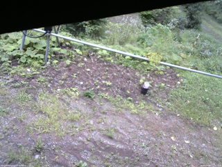 長野県菅平高原 ゆたか山荘 駐車場 2026/08/28 15:30
