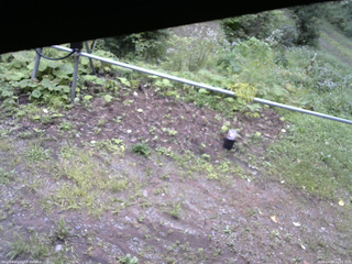長野県菅平高原 ゆたか山荘 駐車場 2026/08/28 16:00