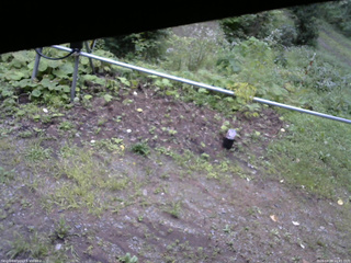 長野県菅平高原 ゆたか山荘 駐車場 2026/08/28 16:45