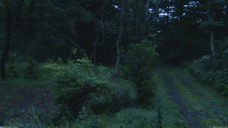 長野県菅平高原 ゆたか山荘 坂上 2026/08/28 05:15