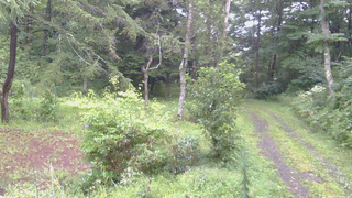 長野県菅平高原 ゆたか山荘 坂上 2026/08/28 06:00