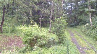 長野県菅平高原 ゆたか山荘 坂上 2026/08/28 06:45