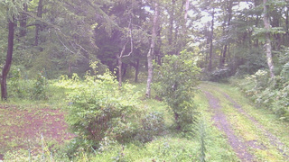 長野県菅平高原 ゆたか山荘 坂上 2026/08/28 07:00