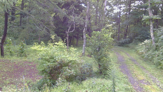 長野県菅平高原 ゆたか山荘 坂上 2026/08/28 07:15