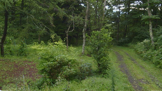 長野県菅平高原 ゆたか山荘 坂上 2026/08/28 07:45