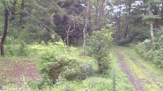 長野県菅平高原 ゆたか山荘 坂上 2026/08/28 08:30