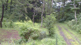 長野県菅平高原 ゆたか山荘 坂上 2026/08/28 08:45