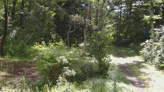 長野県菅平高原 ゆたか山荘 坂上 2026/08/28 09:15