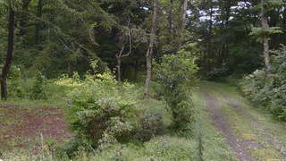 長野県菅平高原 ゆたか山荘 坂上 2026/08/28 09:30