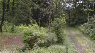 長野県菅平高原 ゆたか山荘 坂上 2026/08/28 09:45
