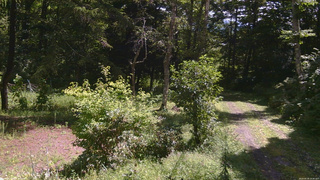 長野県菅平高原 ゆたか山荘 坂上 2026/08/28 10:30