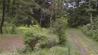 長野県菅平高原 ゆたか山荘 坂上 2026/08/28 10:45