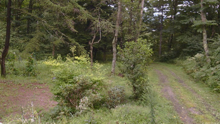 長野県菅平高原 ゆたか山荘 坂上 2026/08/28 11:00