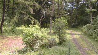 長野県菅平高原 ゆたか山荘 坂上 2026/08/28 11:15