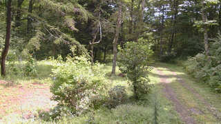 長野県菅平高原 ゆたか山荘 坂上 2026/08/28 11:30