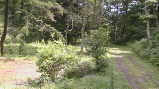 長野県菅平高原 ゆたか山荘 坂上 2026/08/28 11:45
