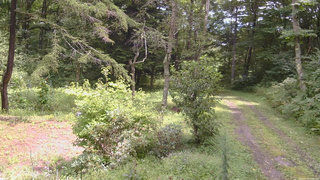 長野県菅平高原 ゆたか山荘 坂上 2026/08/28 12:00