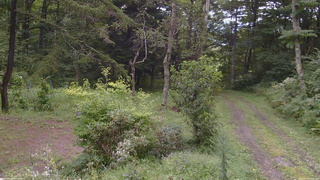 長野県菅平高原 ゆたか山荘 坂上 2026/08/28 12:15