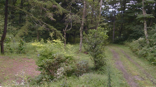 長野県菅平高原 ゆたか山荘 坂上 2026/08/28 12:30
