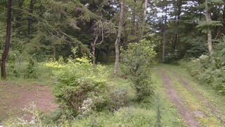 長野県菅平高原 ゆたか山荘 坂上 2026/08/28 12:45