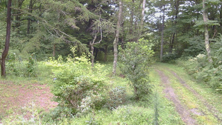 長野県菅平高原 ゆたか山荘 坂上 2026/08/28 13:00