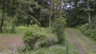 長野県菅平高原 ゆたか山荘 坂上 2026/08/28 13:15
