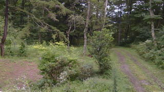 長野県菅平高原 ゆたか山荘 坂上 2026/08/28 13:30