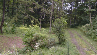 長野県菅平高原 ゆたか山荘 坂上 2026/08/28 13:45