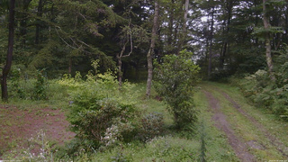 長野県菅平高原 ゆたか山荘 坂上 2026/08/28 14:00
