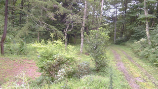 長野県菅平高原 ゆたか山荘 坂上 2026/08/28 14:30