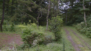 長野県菅平高原 ゆたか山荘 坂上 2026/08/28 15:00