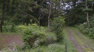 長野県菅平高原 ゆたか山荘 坂上 2026/08/28 15:15
