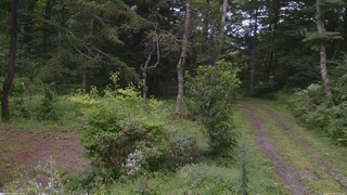 長野県菅平高原 ゆたか山荘 坂上 2026/08/28 15:45