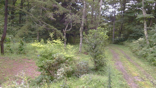 長野県菅平高原 ゆたか山荘 坂上 2026/08/28 16:00