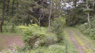 長野県菅平高原 ゆたか山荘 坂上 2026/08/28 16:15