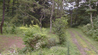 長野県菅平高原 ゆたか山荘 坂上 2026/08/28 16:30
