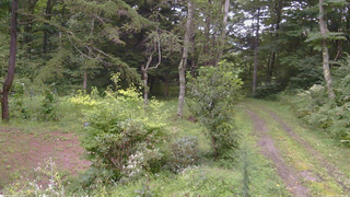 長野県菅平高原 ゆたか山荘 坂上 2026/08/28 17:00