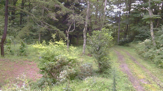 長野県菅平高原 ゆたか山荘 坂上 2026/08/28 17:15