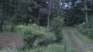 長野県菅平高原 ゆたか山荘 坂上 2026/08/28 18:15
