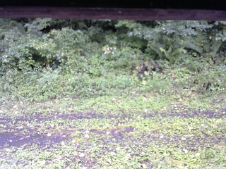 長野県菅平高原 ゆたか山荘 東側(坂下) 2026/08/29 11:00