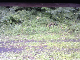 長野県菅平高原 ゆたか山荘 東側(坂下) 2026/08/29 12:45