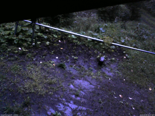 長野県菅平高原 ゆたか山荘 駐車場 2026/08/29 05:15