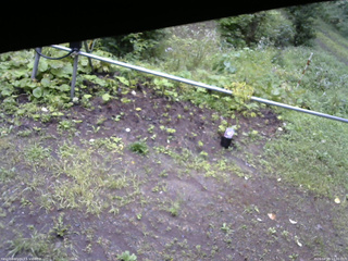 長野県菅平高原 ゆたか山荘 駐車場 2026/08/29 10:30