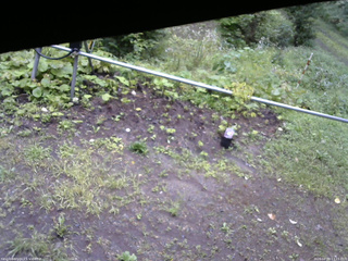 長野県菅平高原 ゆたか山荘 駐車場 2026/08/29 13:15