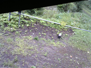 長野県菅平高原 ゆたか山荘 駐車場 2026/08/29 14:00