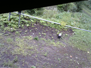 長野県菅平高原 ゆたか山荘 駐車場 2026/08/29 15:15