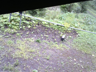 長野県菅平高原 ゆたか山荘 駐車場 2026/08/29 15:30